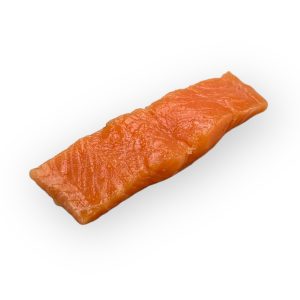 Salmon Fillet raw