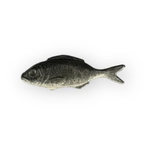 Sardine