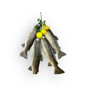 Trout String
