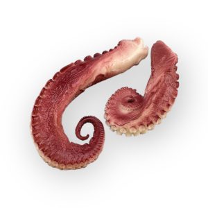 Octopus tentacle