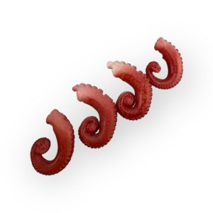 Octopus tentacles, small ,