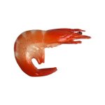 Whole prawn, cooked