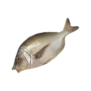 Artificial river fish, oval fish with brown coloration