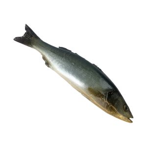 Whole raw artificial Seabass fish